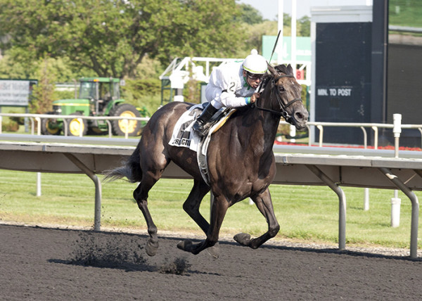 My Option (1st G3 Chicago Hcp) 2-1