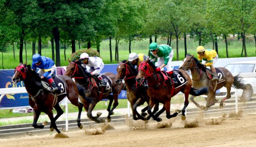 2015 Wuhan Open Horse Racing, 13 June 2015