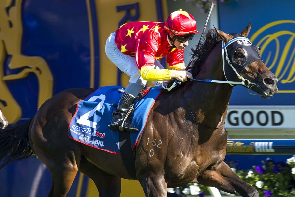 Dissident (Sebring - Diana's Secret) wins the G1 CF Orr Stakes on Valentine's Day on 14 February 2015. This is the horse's final racing campaign before he retires to Newgate Farm for the 2015 breeding season.  He was ridden by Ben Melham and trained by Pe