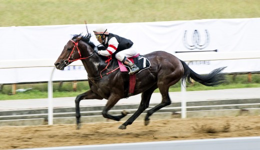 2015 CHINA FLAT RACING TOURNAMENT "PARSONS MUSIC CORPORATION CUP 13TH CHINA WUHAN INTERNATIONAL HORSE RACING FESTIVAL, 25 October 2015