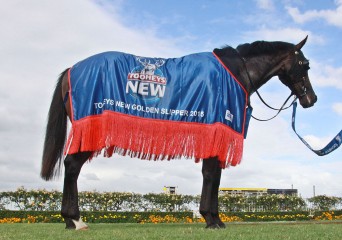 Vancouver,Golden Slipper-front