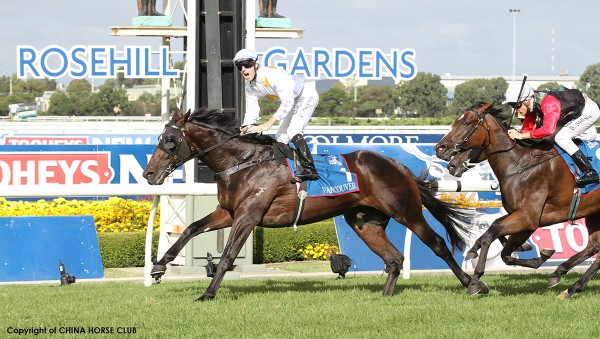 Vancouver,Golden Slipper,Group 1_21-03-2015-1