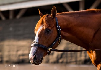 Justify-web front