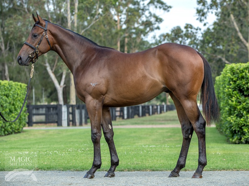 oregon as yearling