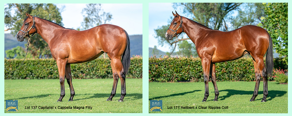 20210113-lot 137 & 171-r1