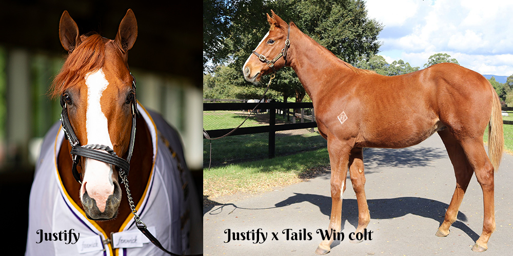 20210506-Justify colt-r1