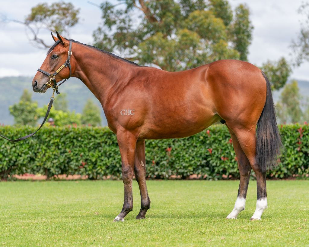 Communist as a yearling