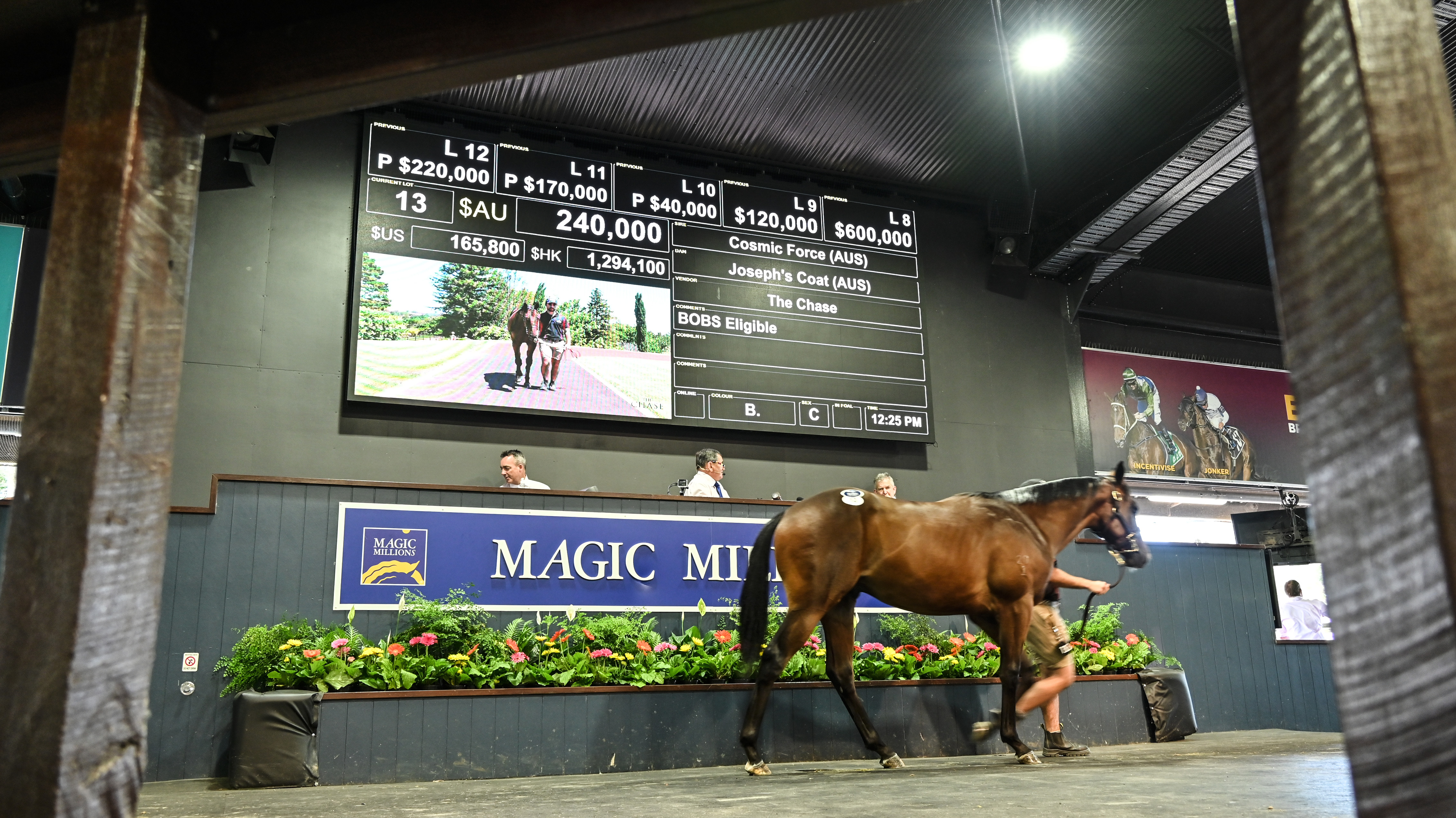 NZ6_2273 -Lot 13