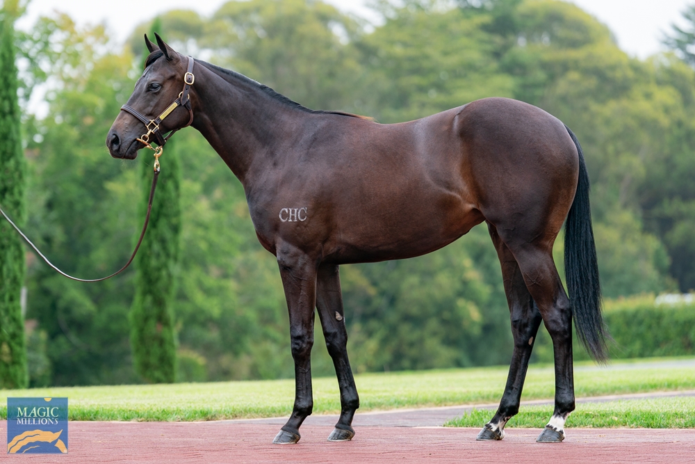 Strasbourg x Just Zerene filly is the co-highest priced filly of the sale to date