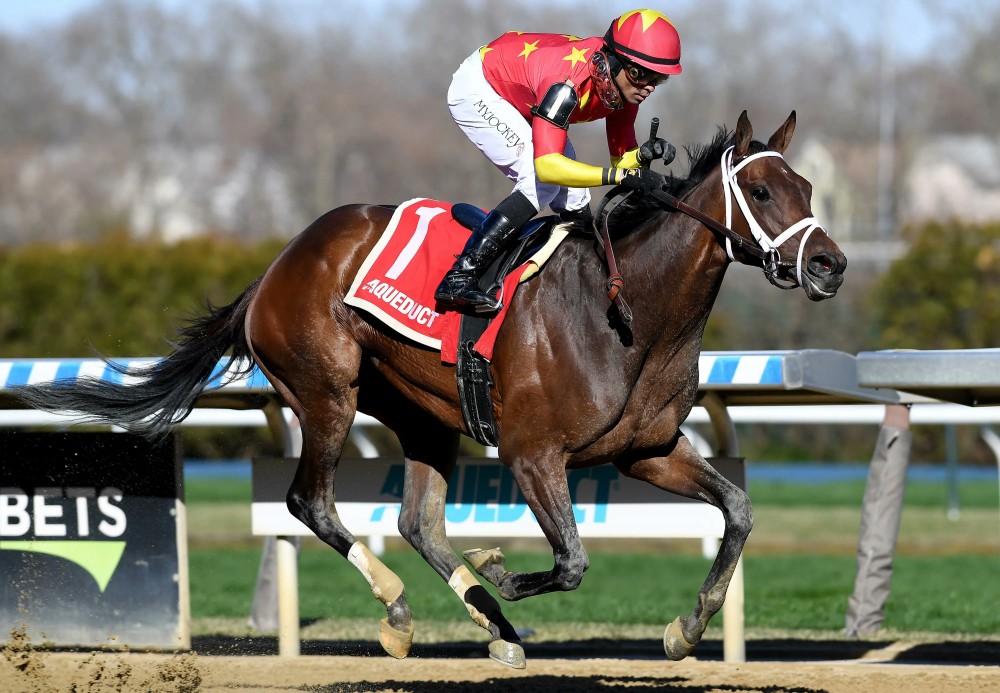 Falconet_Coglianese Photo