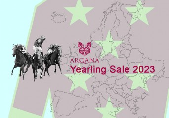 20230810-Arqana sale front-1