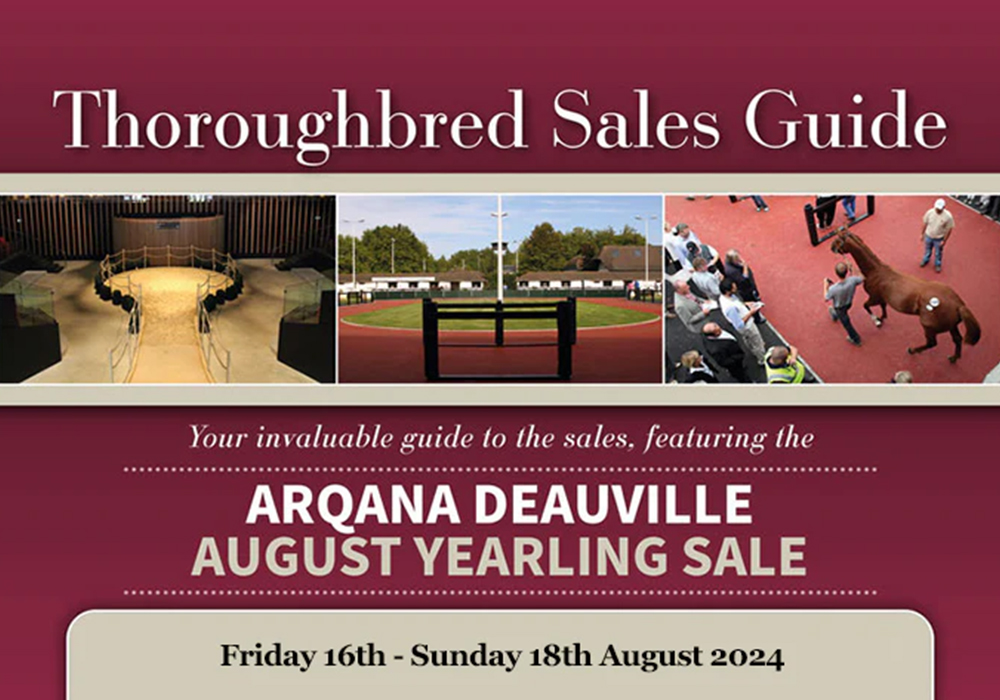 2024 Arqana Aug