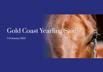 2025 MM Yr Sale