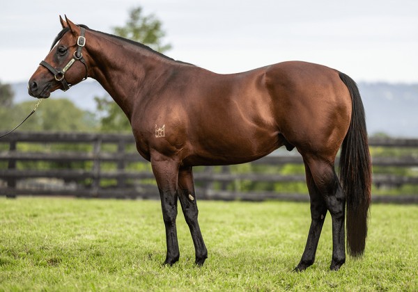 20251119-Step inside