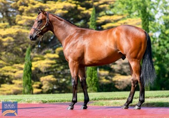 20251211-HAWKER HALL