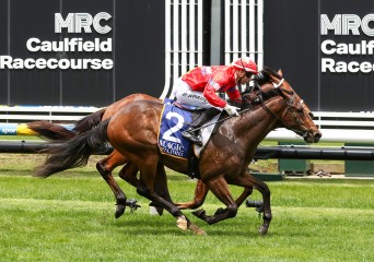 20251212-EXT WARRIOR