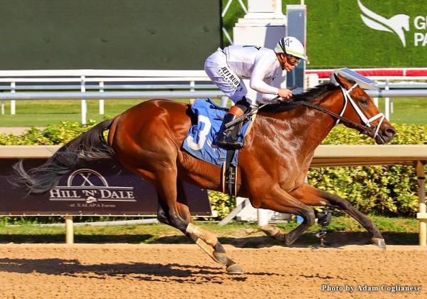 20251230-Class President