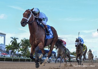 20251230-Tappan Street-