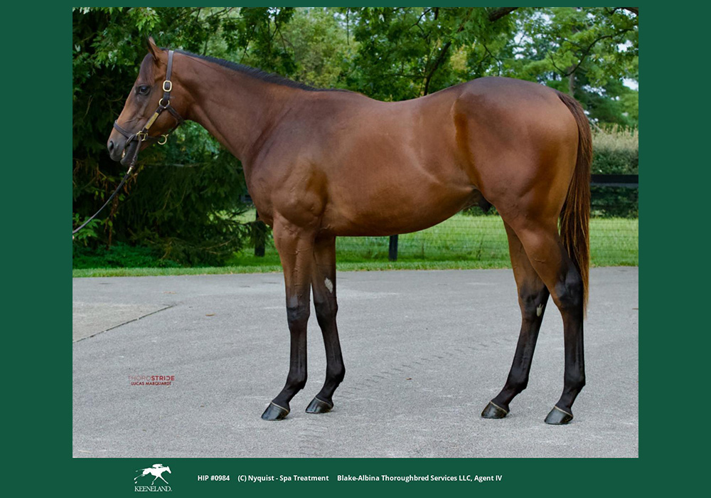 20260119-spa treatment