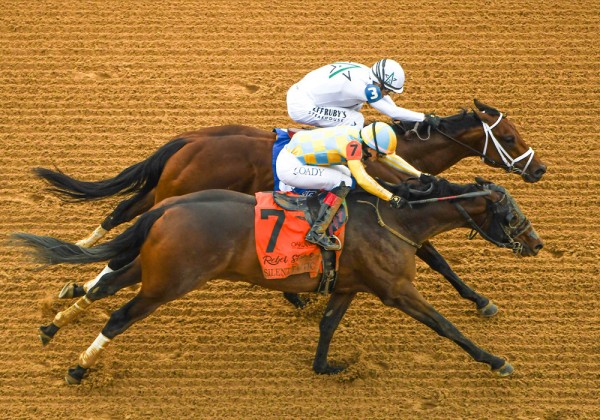 20260304-Class President