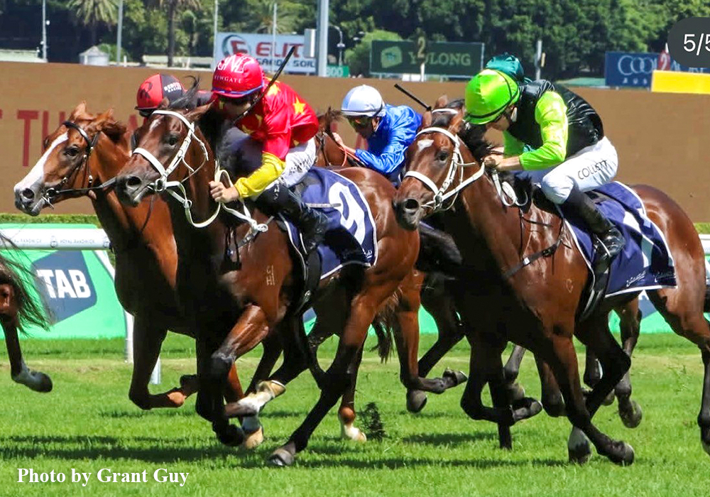 20260306-coast to coast