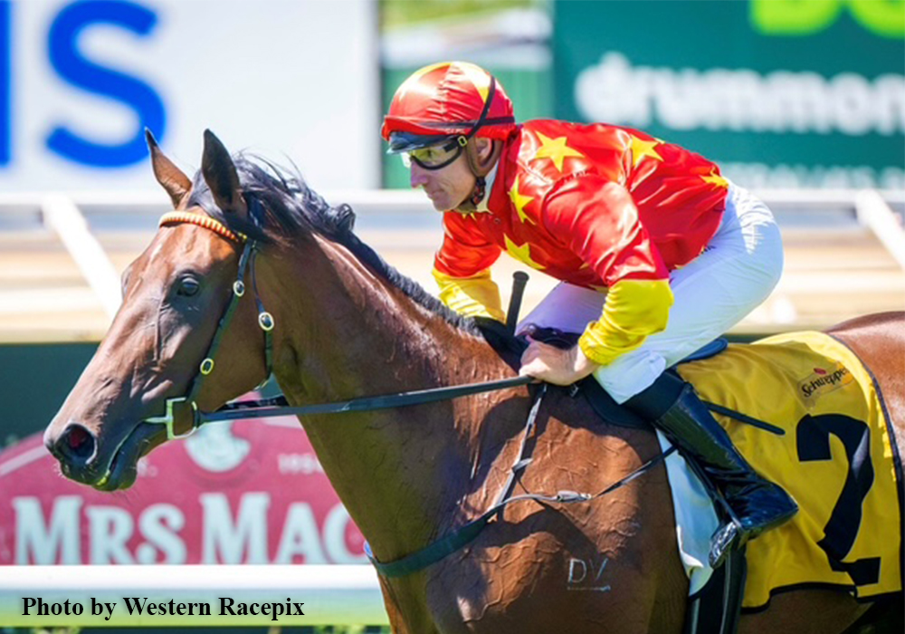 20260306-coast to coast2