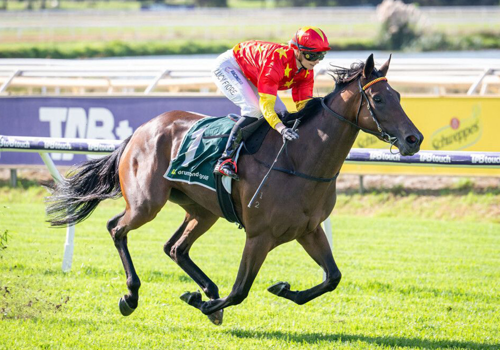 20260302-Wonderful Oaks2