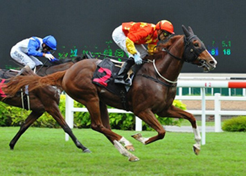 Tropaios-courtesy-of-Singapore-Turf-Club-1