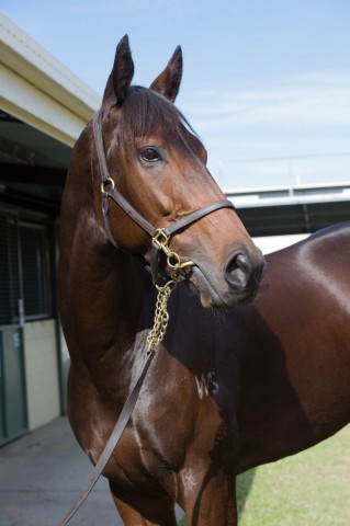 LOT 612 Diademe face