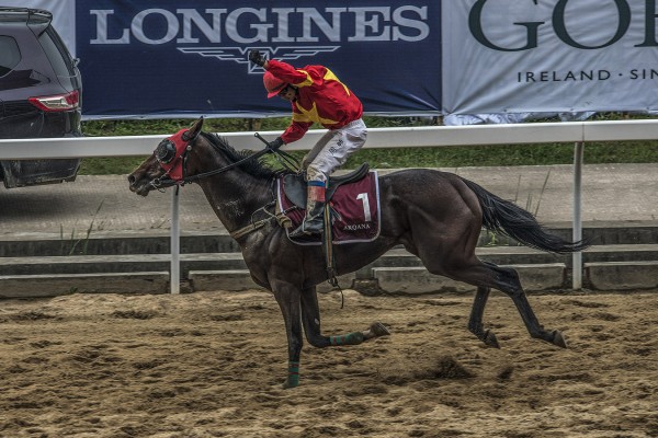 CECF Wuhan-Arqana-CHC