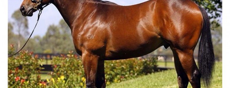 Super1-yearling