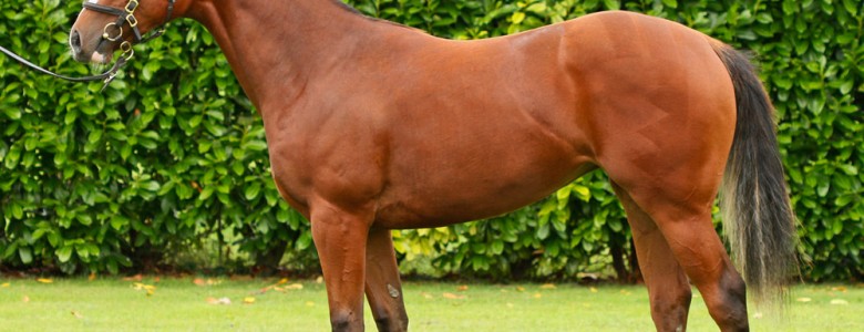 frankel-front