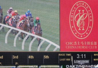 goldenslipper front