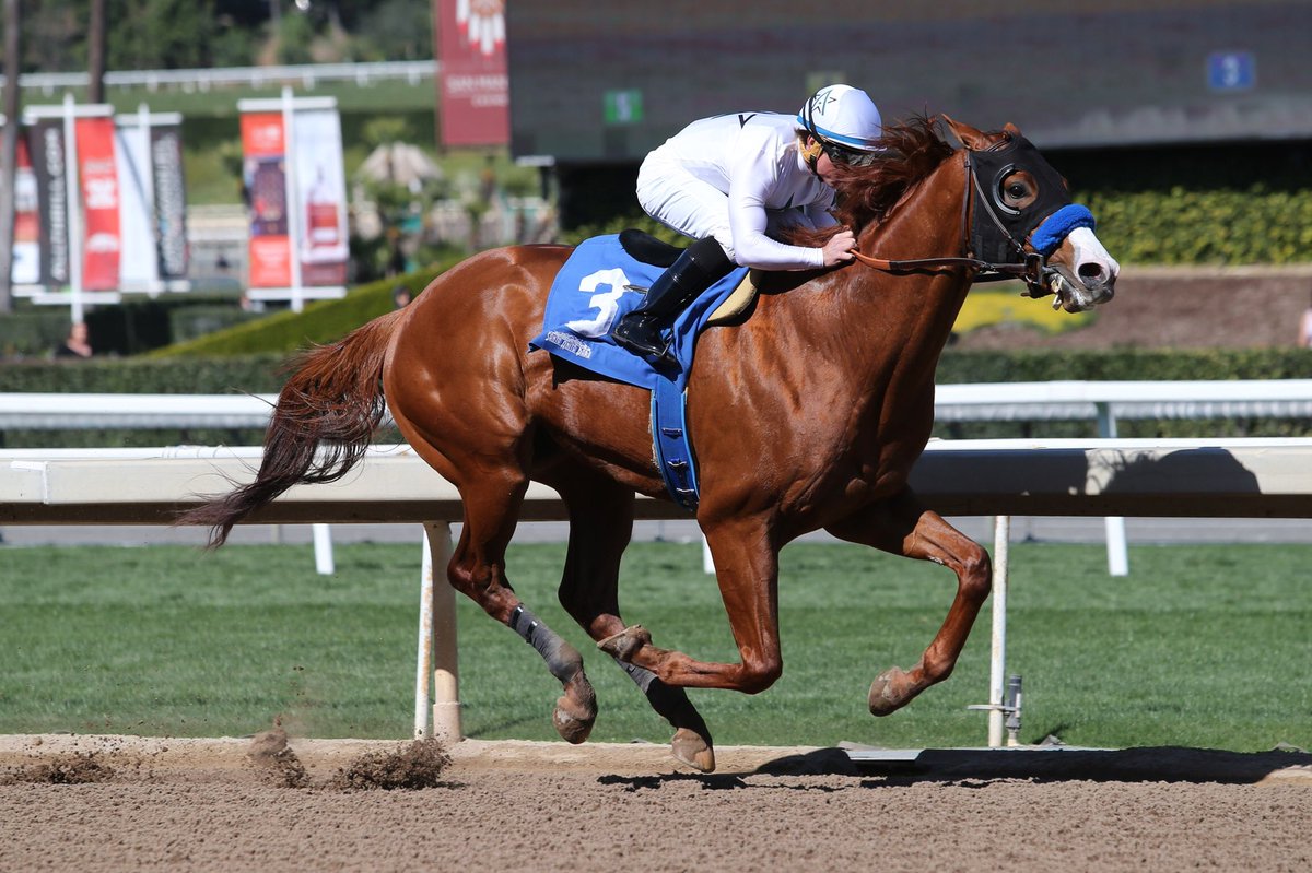 Justify1