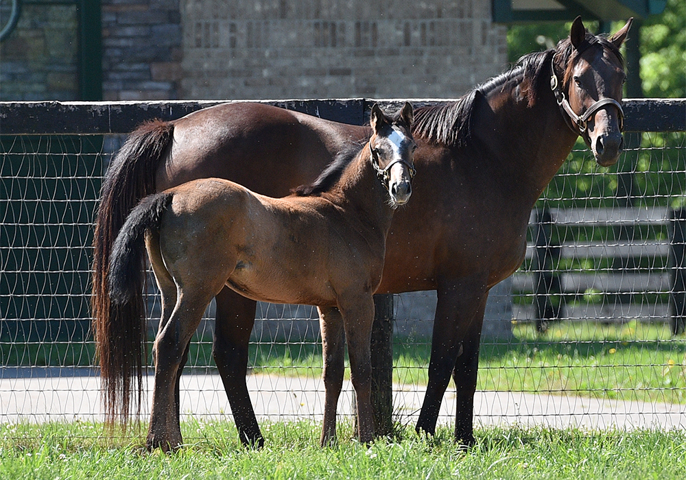 16tapit_lastfullmeasure_060616_1-front