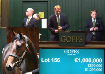 goffs sale front