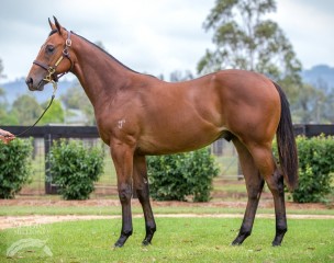 Rulership as a yearling