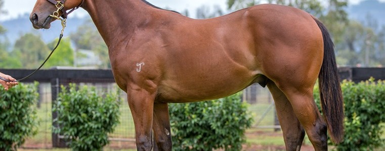 Rulership as a yearling