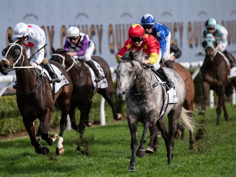 Randwick_Glory_4-3_19141386_2021154_2020071814074854a0c5d6-f633-47cb-b617-7eaaaa147f0e.jpg_sd_800x600