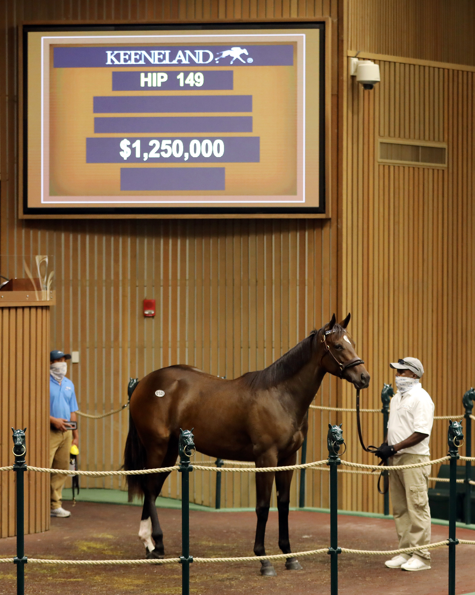 Tapit x Embellish The Lace filly