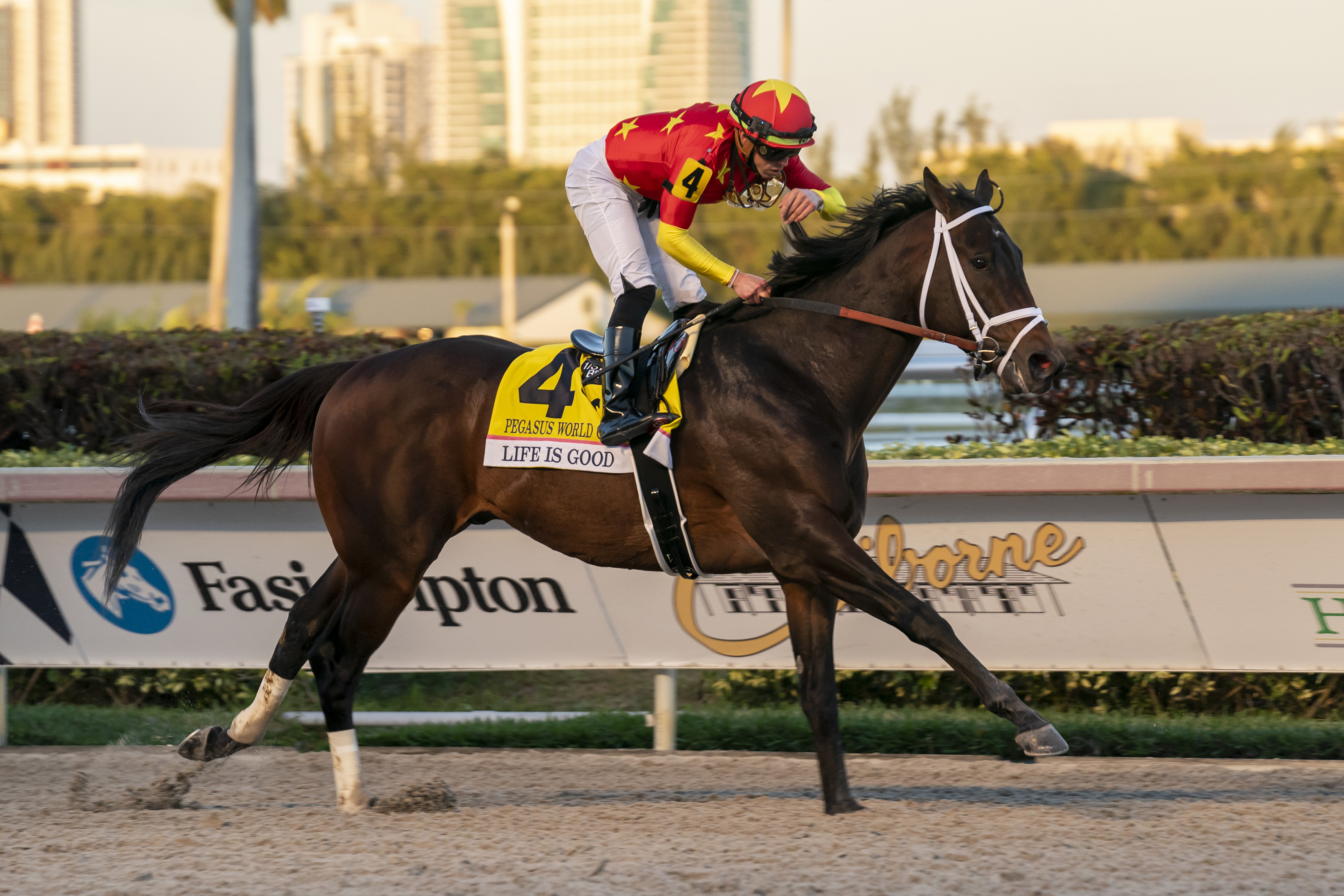 Life is Good _ Pegasus World Cup Gulfstream Park 1-29-22- Mathea Kelley