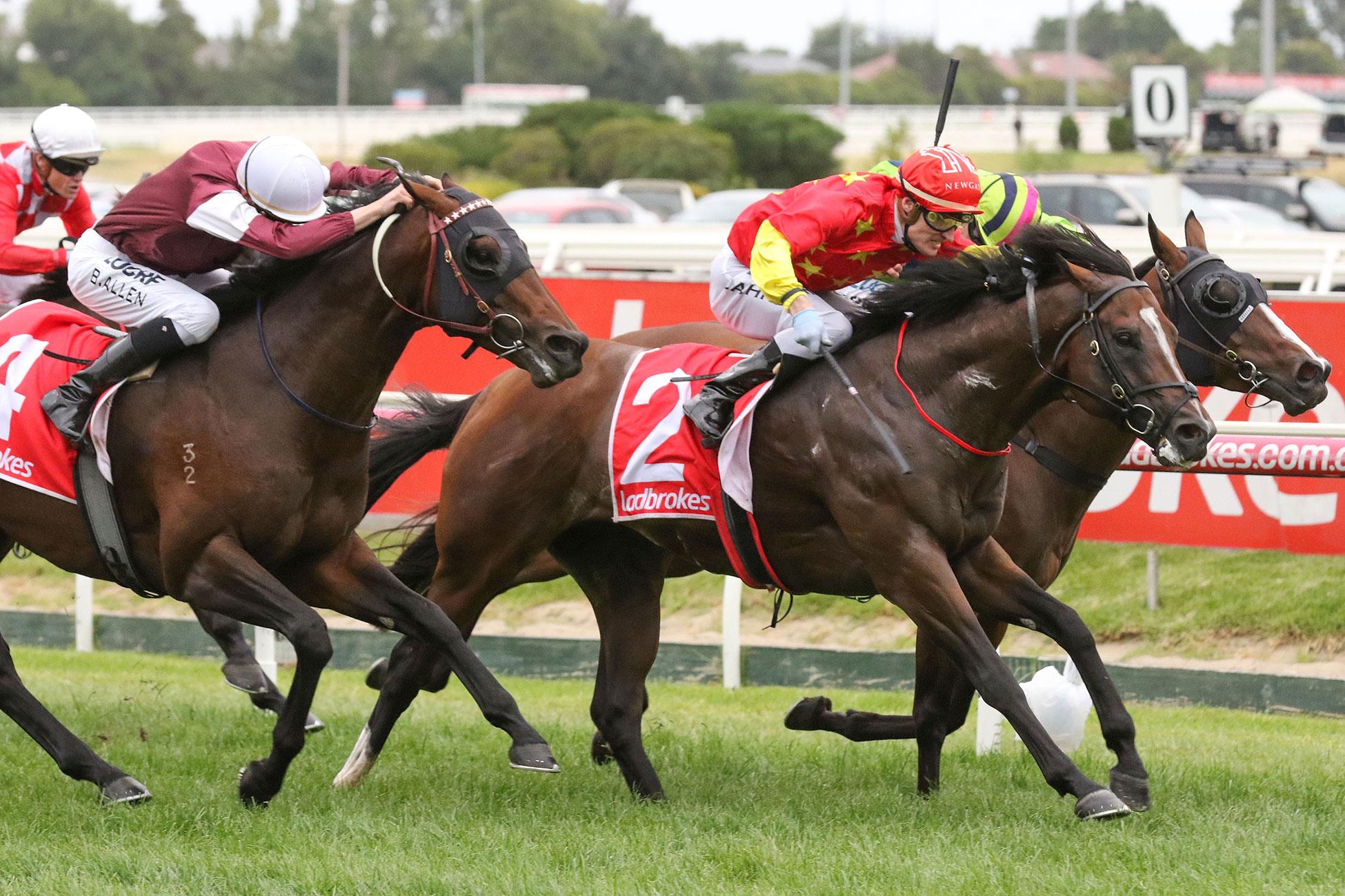 Russian Revolution winning G1 Oakleigh Plate