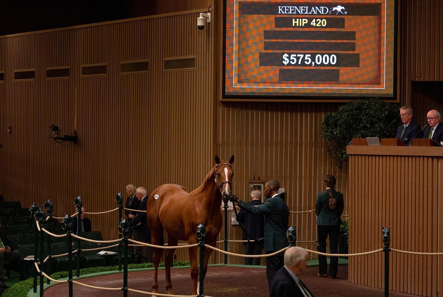 Justify x Sambuca Classica colt another strong result at Keeneland