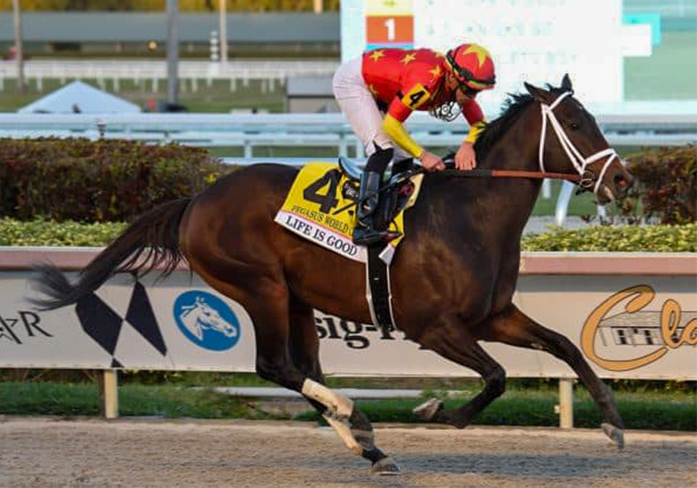 20260604-Coglianese