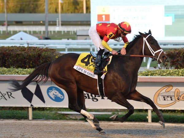 LIG_Coglianese